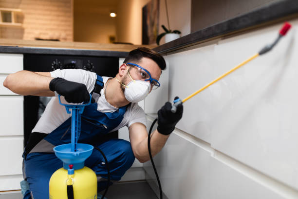 Best Best Pest Control Companies  in Mastic, NY