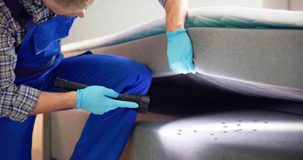 Trusted Mastic, NY Pest Control Experts