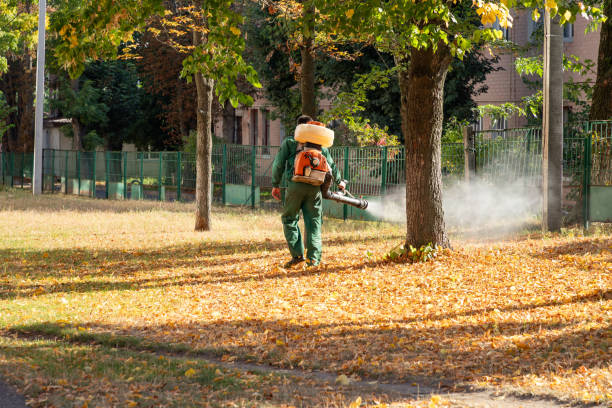 Wasp Removal Services in Mastic, NY